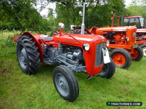 Massey Ferguson 180 - Massey Ferguson 35X tractor, Clogher Valley Show - geograph.org.uk - 4591814