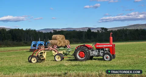 Massey Ferguson 230