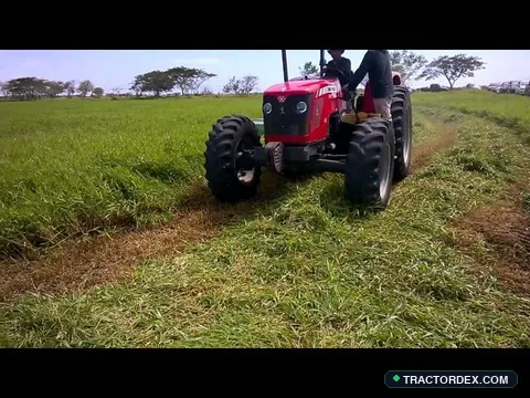 Massey Ferguson 4291