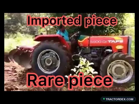 TAFE 5900