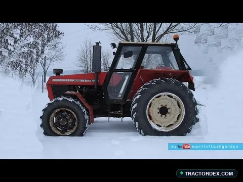 Ursus 1004