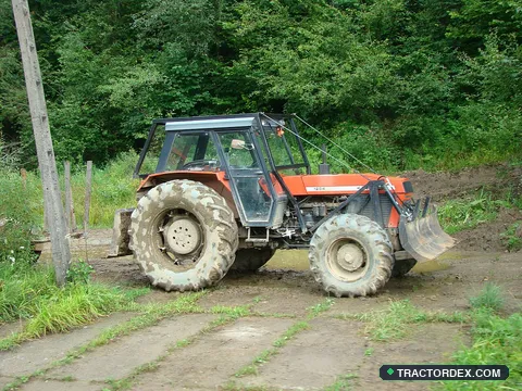 Ursus 1204